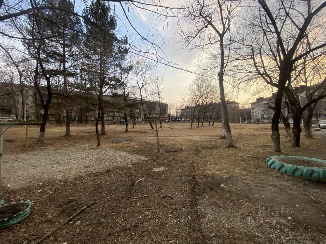 Россия, Приморский край, Михайловский муниципальный округ, посёлок городского типа Новошахтинский, Советская улица, 14, фото 15