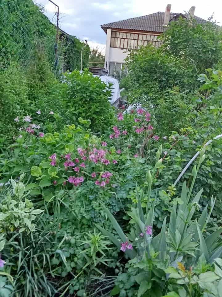 Россия, Республика Марий Эл, Звенигово, улица Гагарина, 58, фото 2