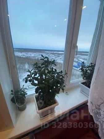 Россия, Республика Коми, Усинск, Воркутинская улица, 5, фото 15