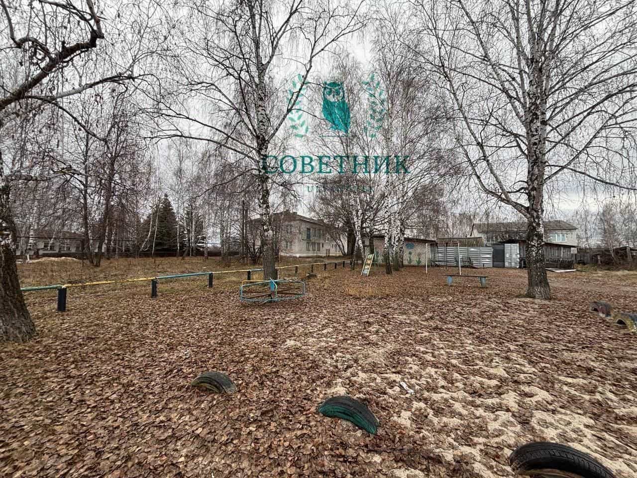 Россия, Ульяновская область, Сенгилеевский район, село Тушна, Зелёный проезд, 11, фото 20