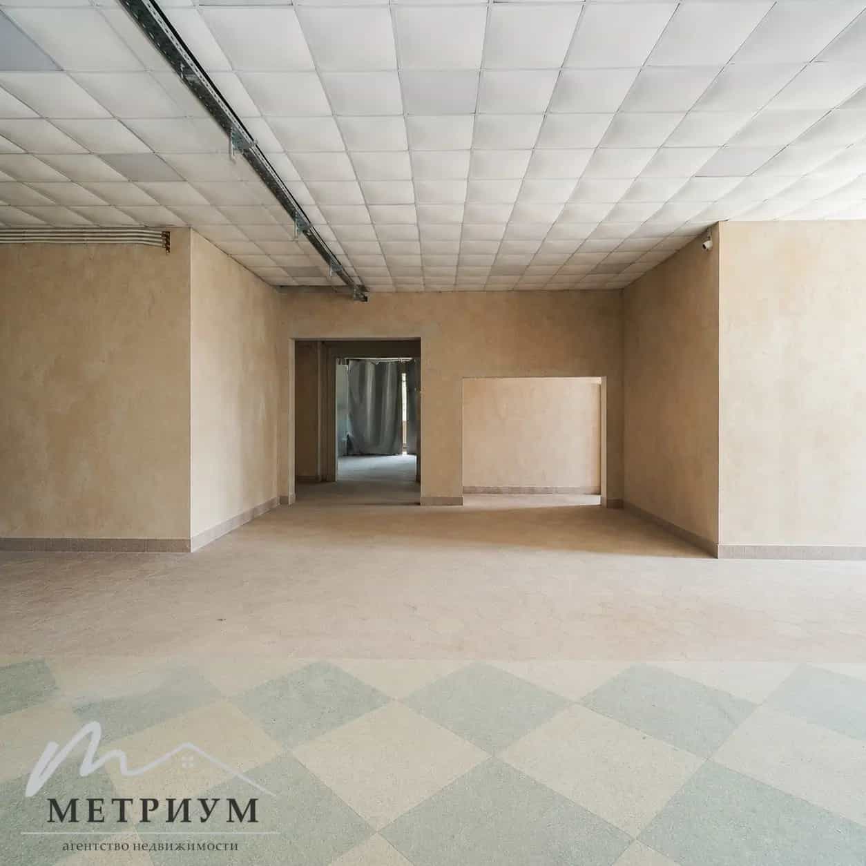 Беларусь, Минск, 1-й переулок Менделеева, 50, фото 3