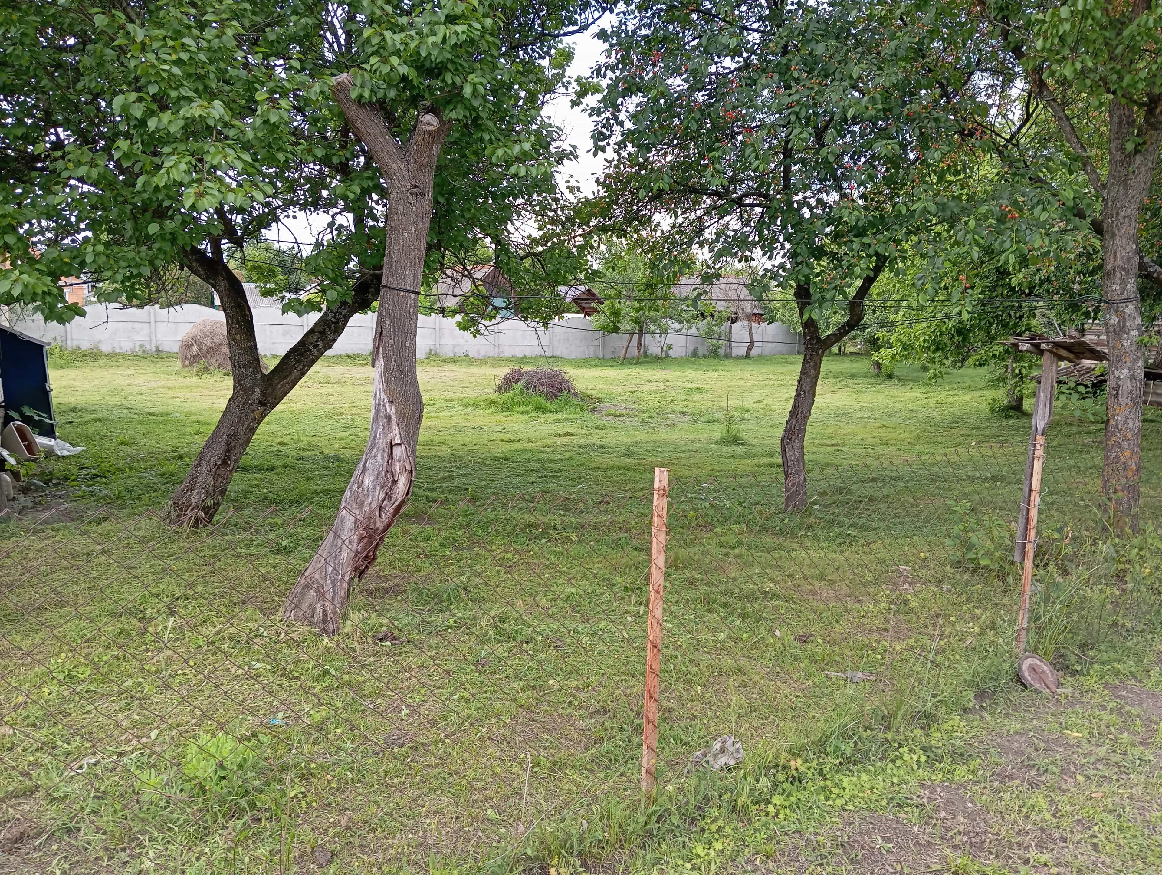 Беларусь, Брестская область, Лунинецкий район, Городокский сельсовет, деревня Дребск, Крестьянская улица, 7, фото 8