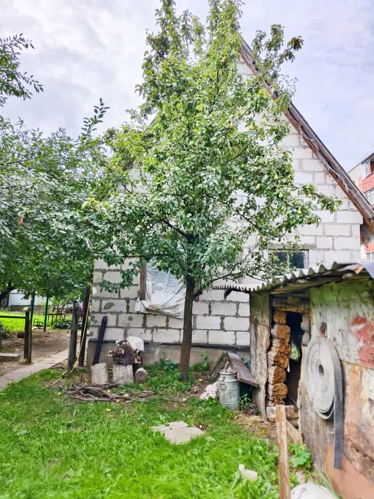 Беларусь, Гомель, Светлогорская улица, 81, фото 3