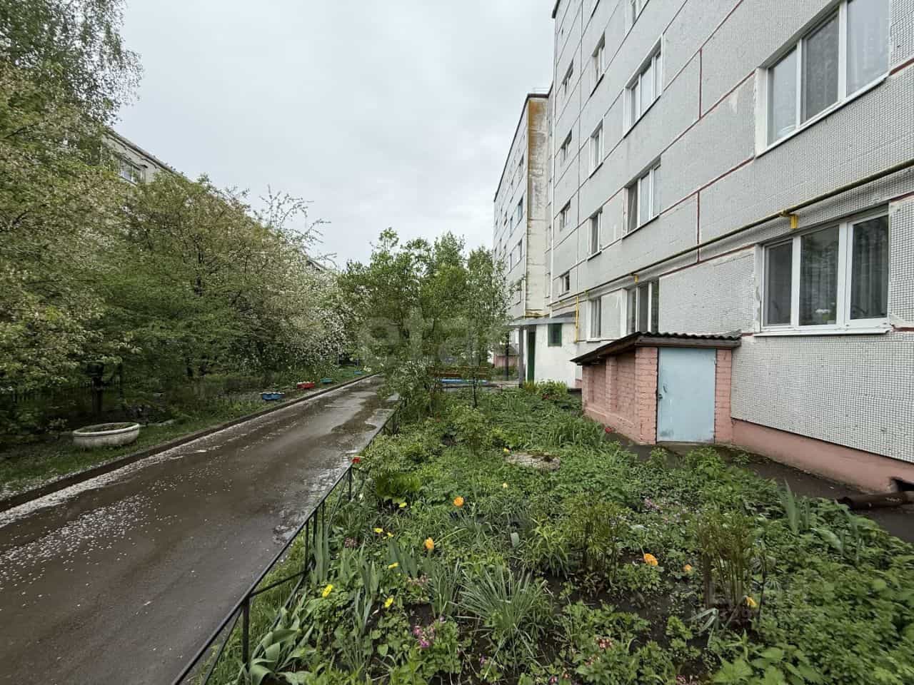 Россия, Брянская область, Клинцы, улица Мира, 121, фото 27