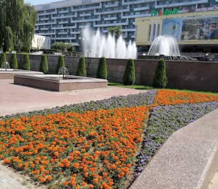 Фото объекта