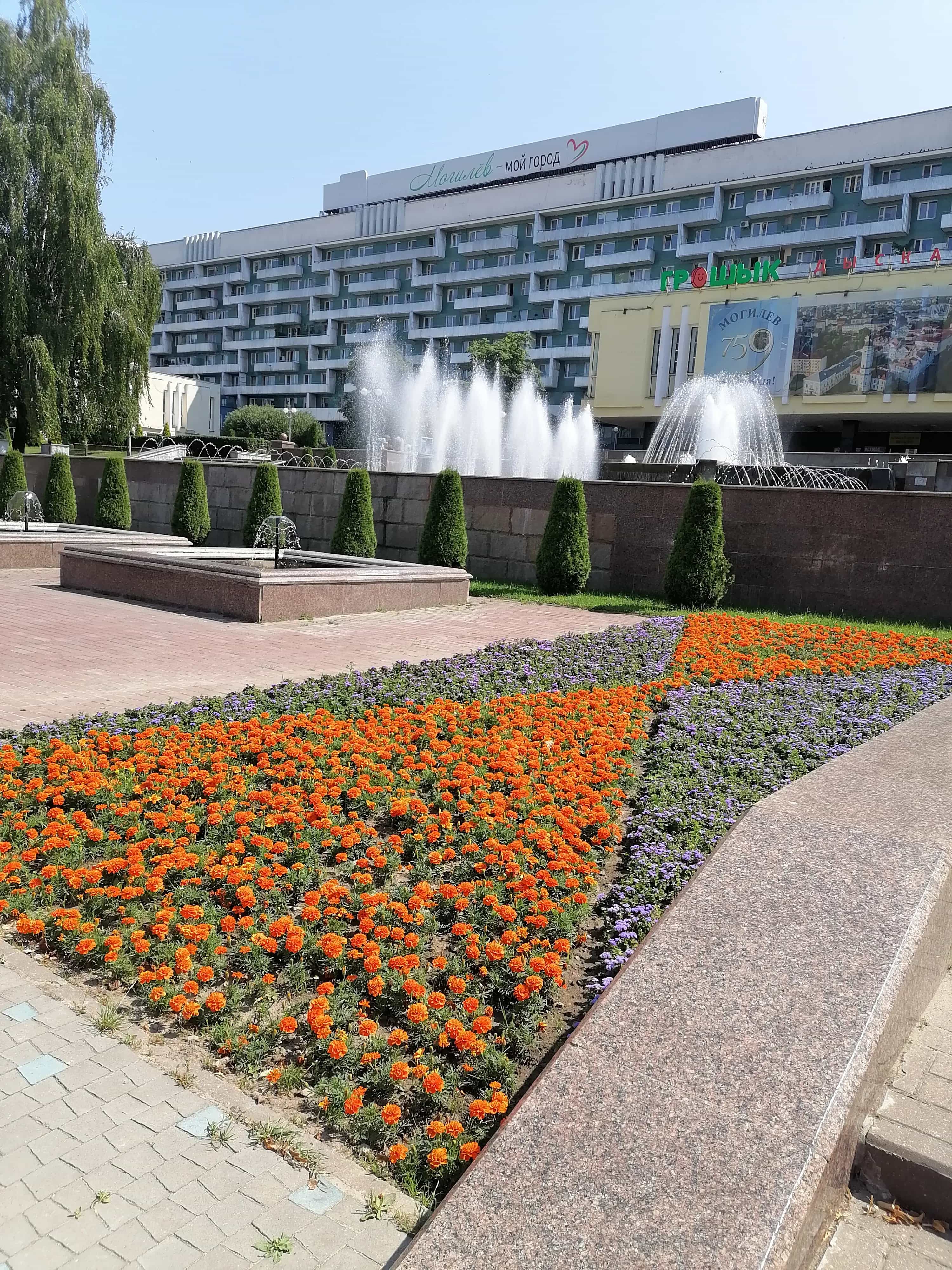 Беларусь, Могилёв, Первомайская улица, 31
