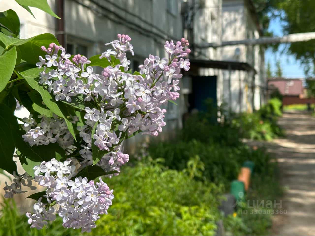 Россия, Ульяновская область, городской округ Новоульяновск, село Криуши, улица Затон, 41