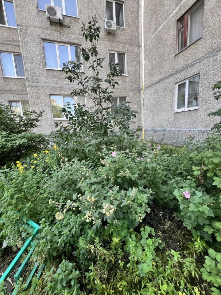 Россия, Тюмень, улица Елизарова, 30, фото 11