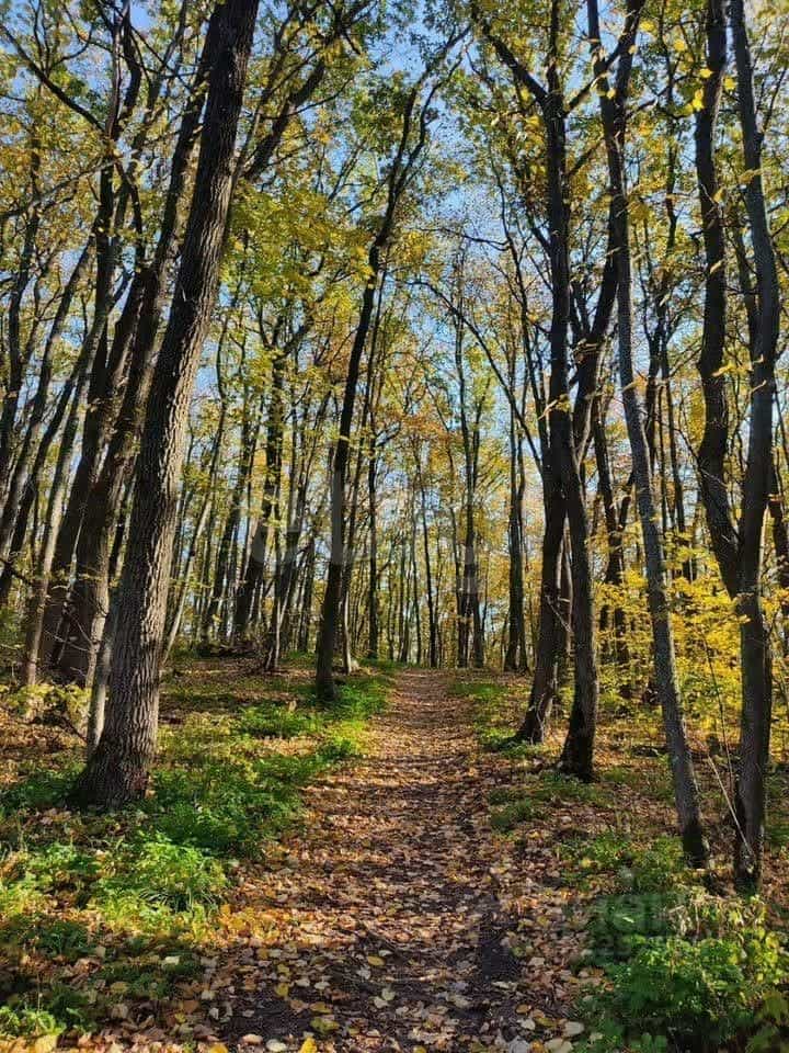 Россия, Воронежская область, село Новая Усмань, улица Ленина, 312, фото 14