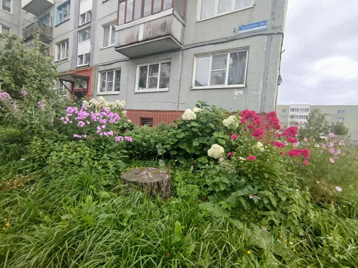 Россия, Новгородский муниципальный округ, Трубичинское сельское поселение, деревня Трубичино, 35к1, фото 18