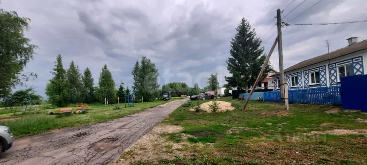 Россия, Владимирская область, Суздальский муниципальный округ, село Новокаменское, Молодёжная улица, 2, фото 6