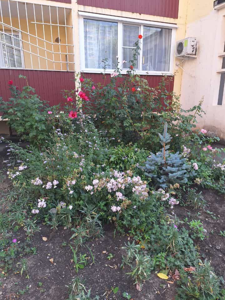 Россия, Краснодар, микрорайон Юбилейный, Рождественская набережная, 37, фото 23