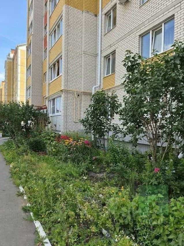 Россия, Республика Марий Эл, Йошкар-Ола, Фестивальная улица, 60, фото 16