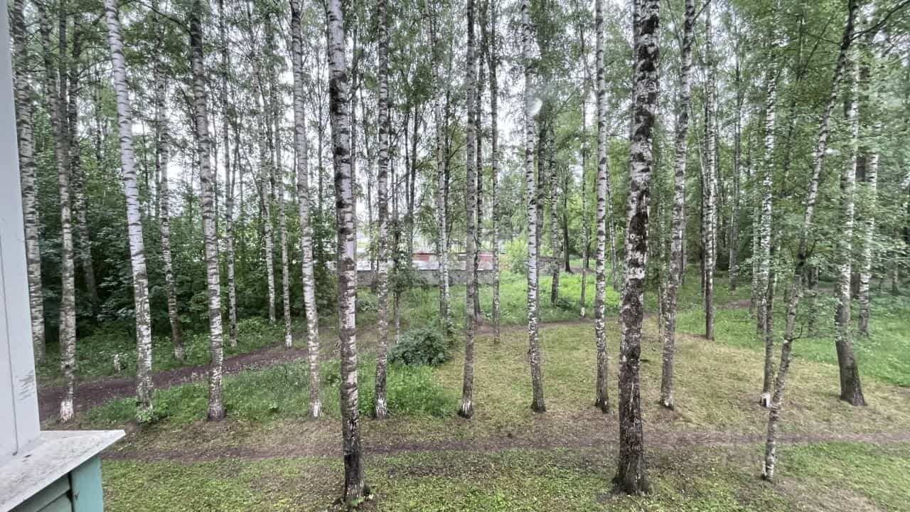 Россия, Кострома, микрорайон Черноречье, 24, фото 17