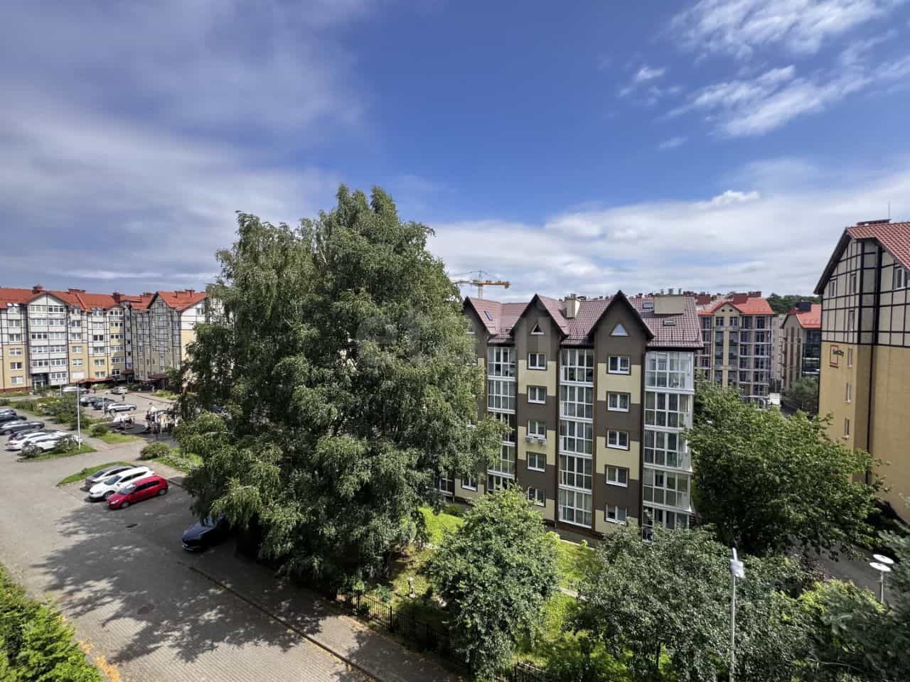 Россия, Калининградская область, Светлогорск, Олимпийский бульвар, 5, фото 16