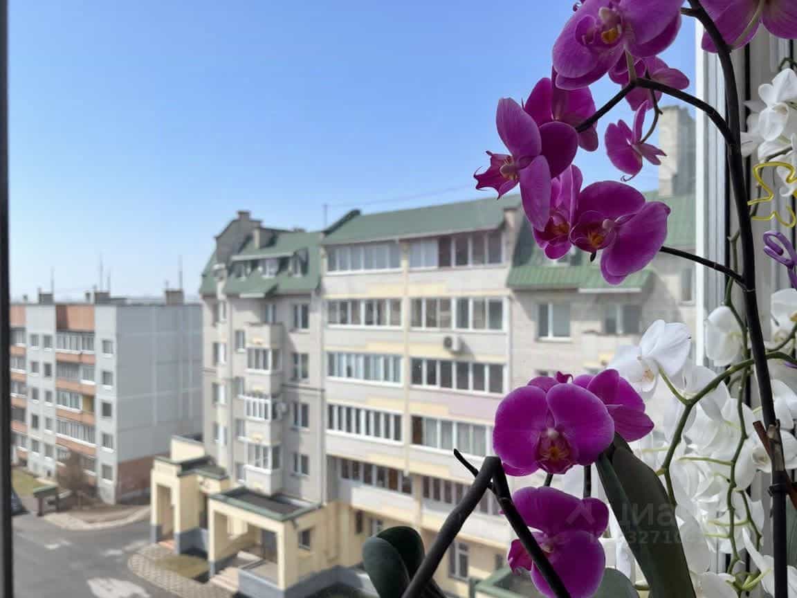 Россия, Псков, Коммунальная улица, 7, фото 30