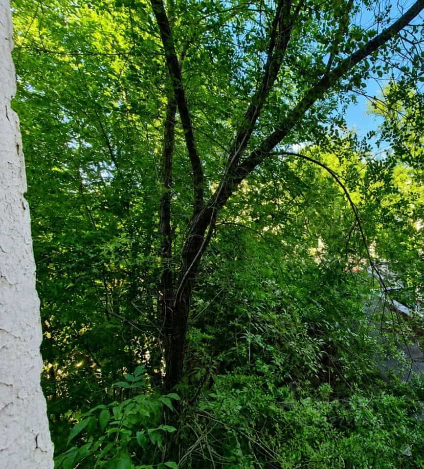 Россия, Самара, Ставропольская улица, 98к1, фото 9