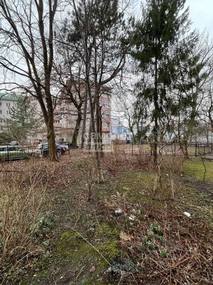 Россия, Калининград, улица Генерала Галицкого, 33, фото 29