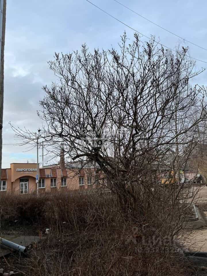 Россия, Калининград, улица Генерала Галицкого, 33, фото 41