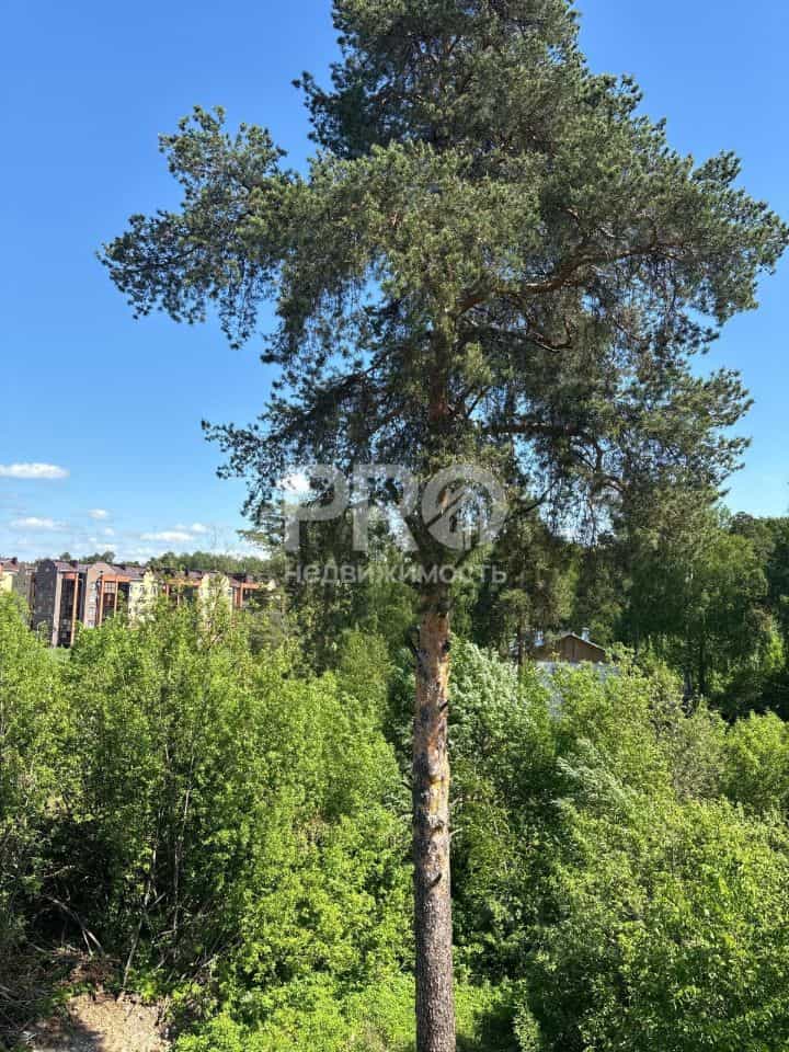 Россия, Кострома, улица Ленина, 148, фото 42
