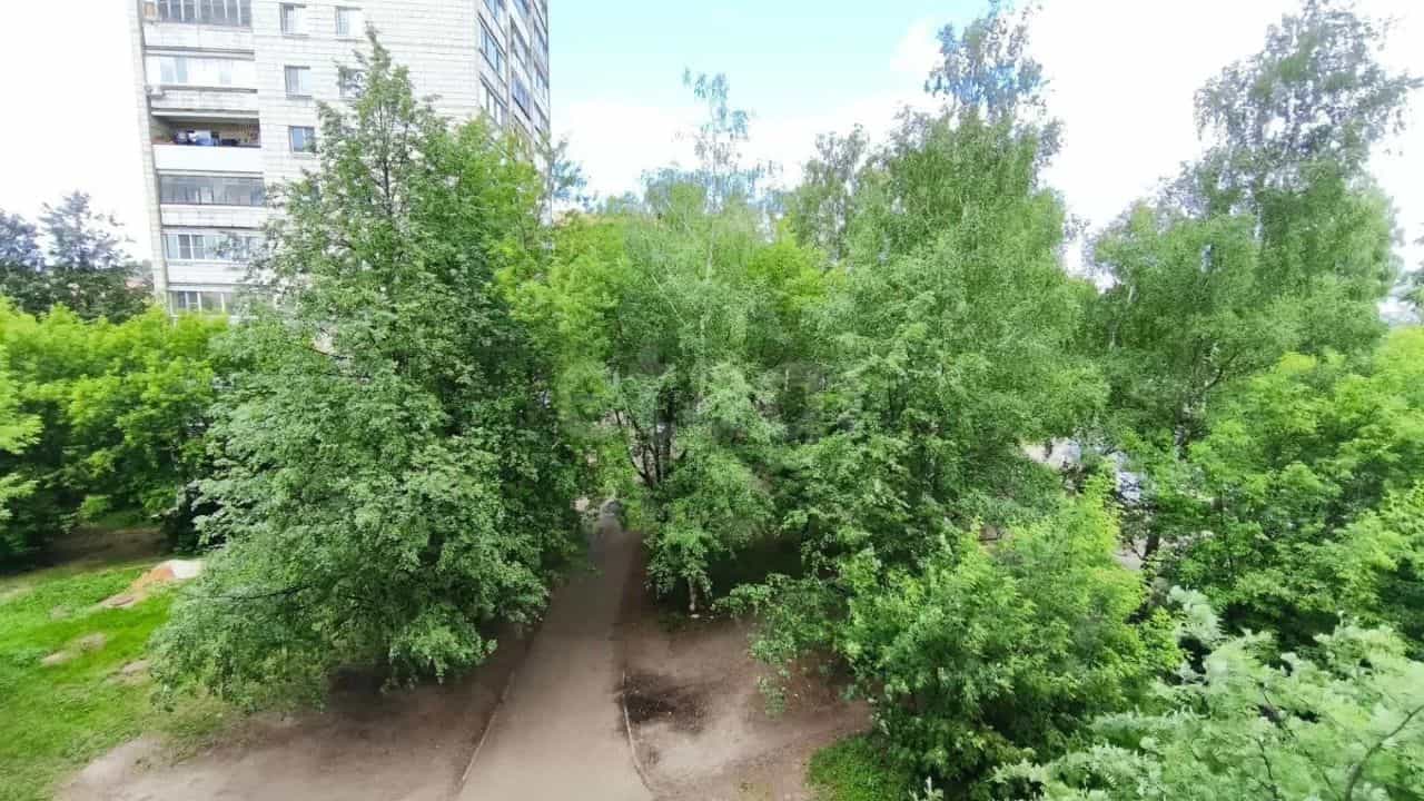 Россия, Кострома, улица Ленина, 101, фото 4