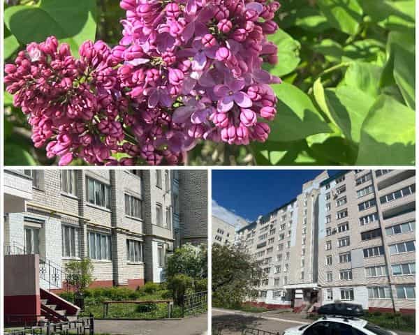Фото объекта