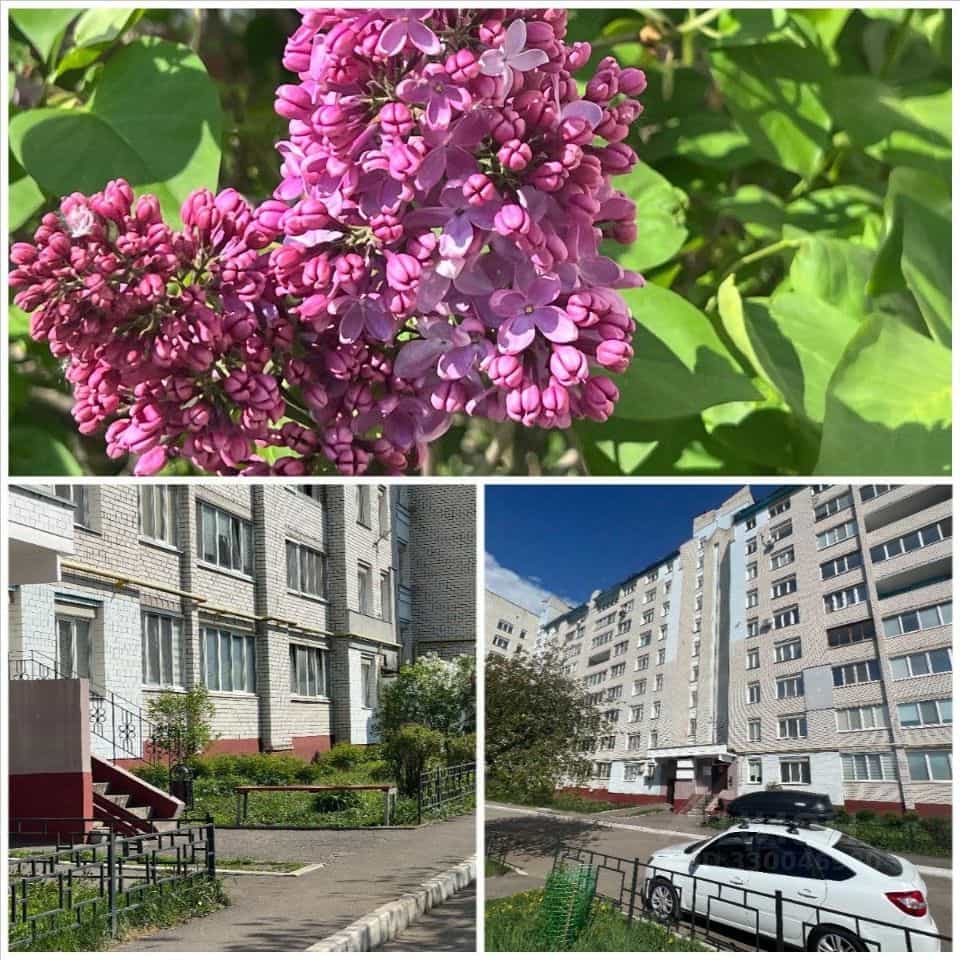 Россия, Брянск, Белорусская улица, 48