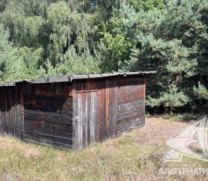 Беларусь, Брестский район, Мухавецкий сельсовет, деревня Подлесье-Каменецкое, 17, фото 2
