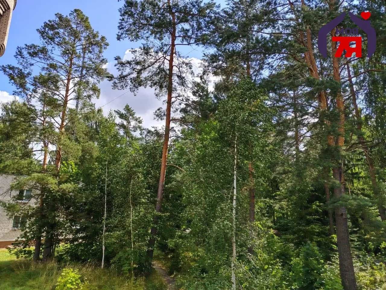 Беларусь, Минский район, Острошицко-Городокский сельсовет, деревня Околица, Городецкая улица, 4Б, фото 18