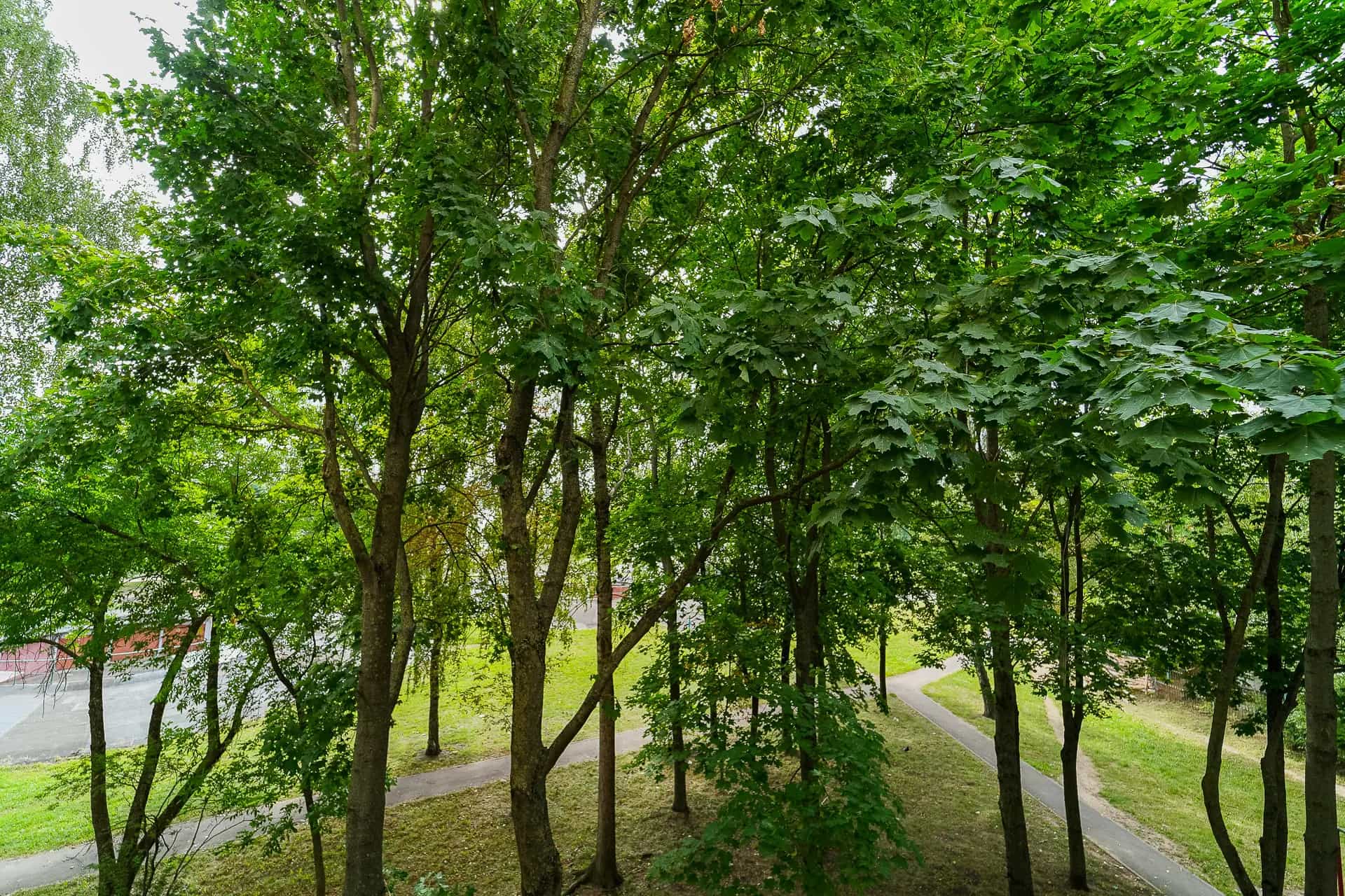 Беларусь, Минск, улица Плеханова, 61, фото 24