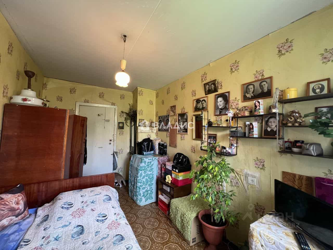Россия, Владимир, улица Горького, 84, фото 12