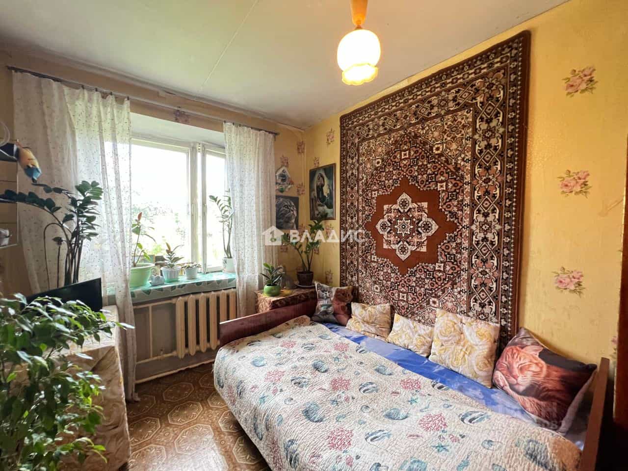 Россия, Владимир, улица Горького, 84, фото 14