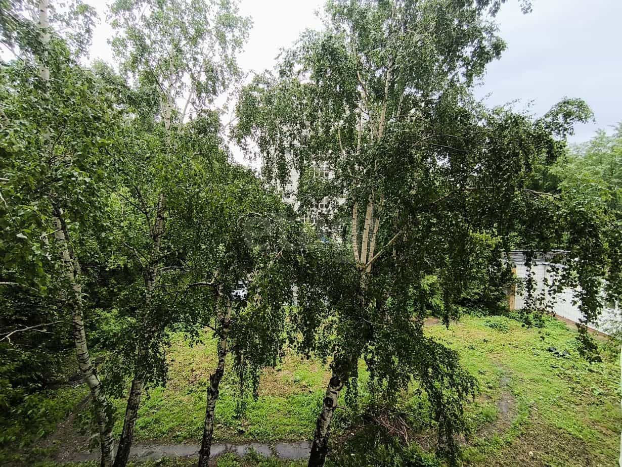 Россия, Ульяновск, улица Карла Либкнехта, 21, фото 33
