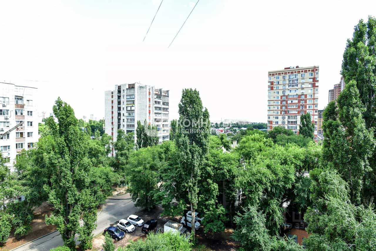 Россия, Воронеж, улица Кривошеина, 19
