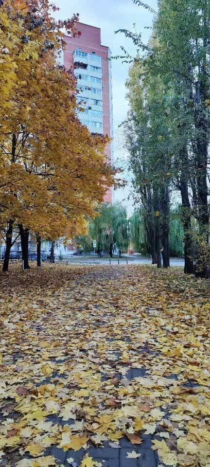 Россия, Воронеж, Путиловская улица, 2/1, фото 19