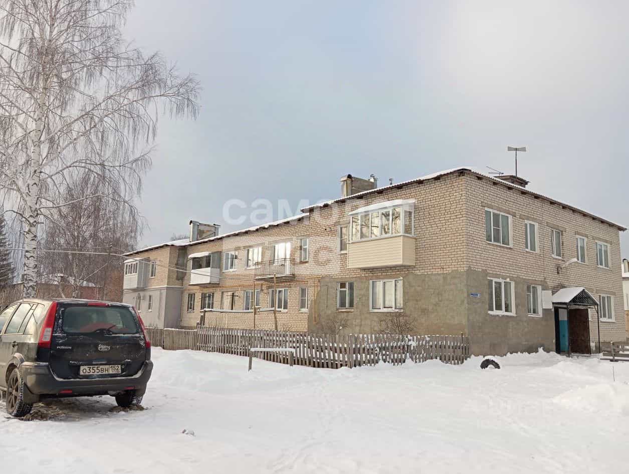 Россия, Нижегородская область, муниципальный округ Бор, деревня Оманово, 3, фото 19