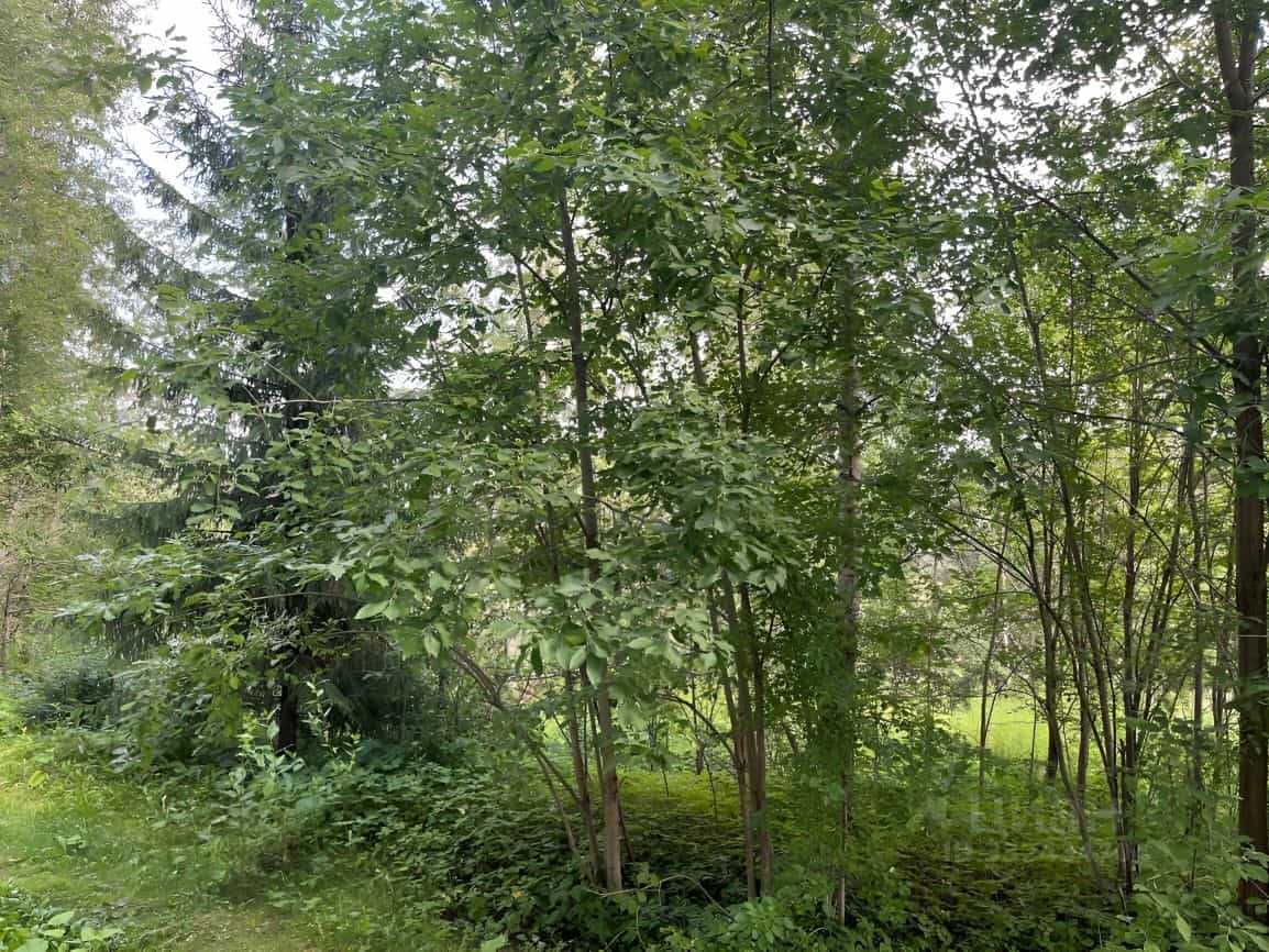 Россия, Пермский край, Березники, улица Мира, 130, фото 11
