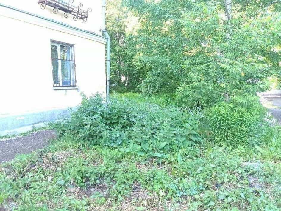 Россия, Киров, Октябрьский район, улица Свердлова, 24, фото 14