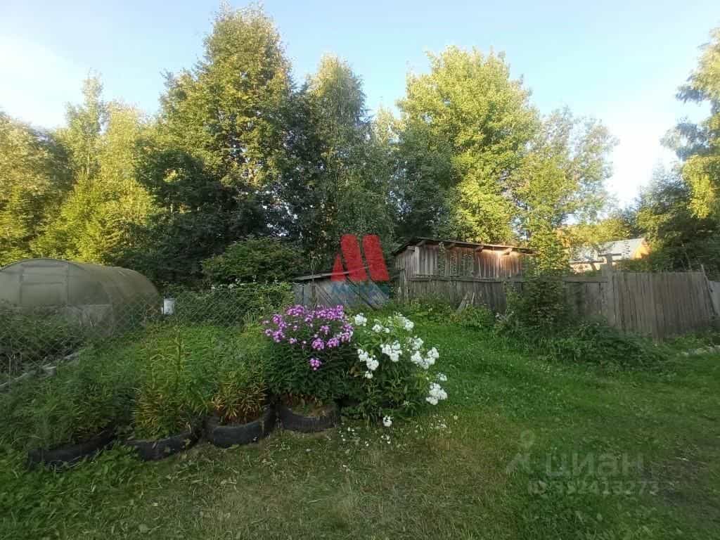 Россия, Ярославская область, Пошехонье, улица Преображенского, 33А, фото 10