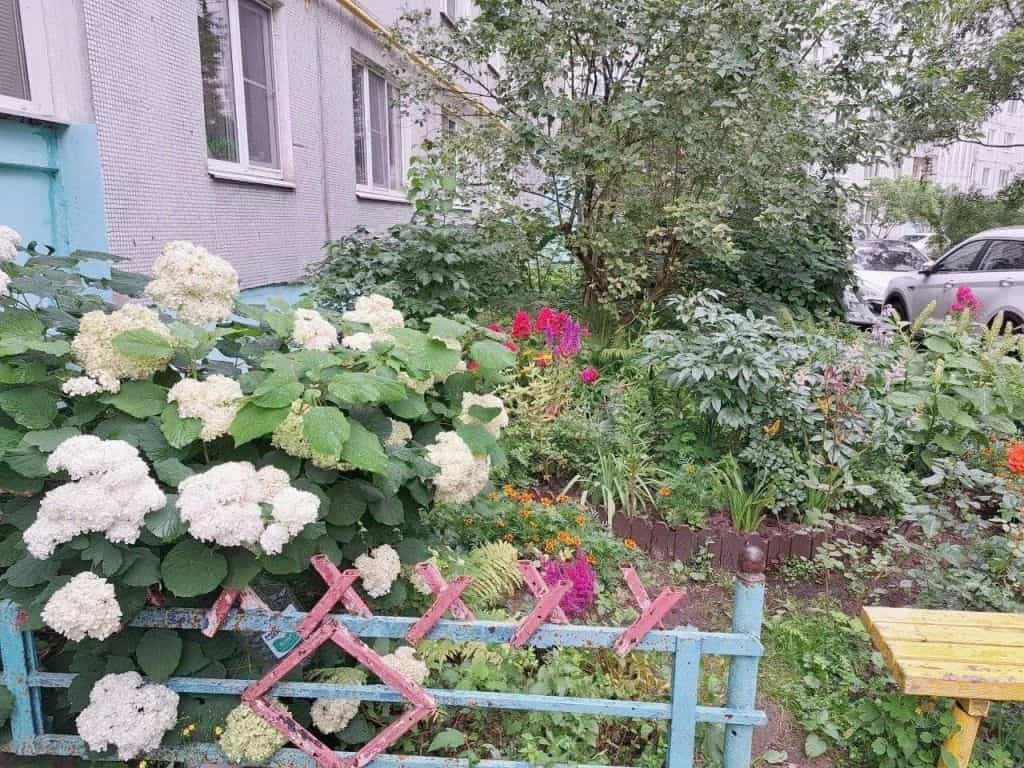 Россия, Тверь, улица Склизкова, 70к4, фото 16