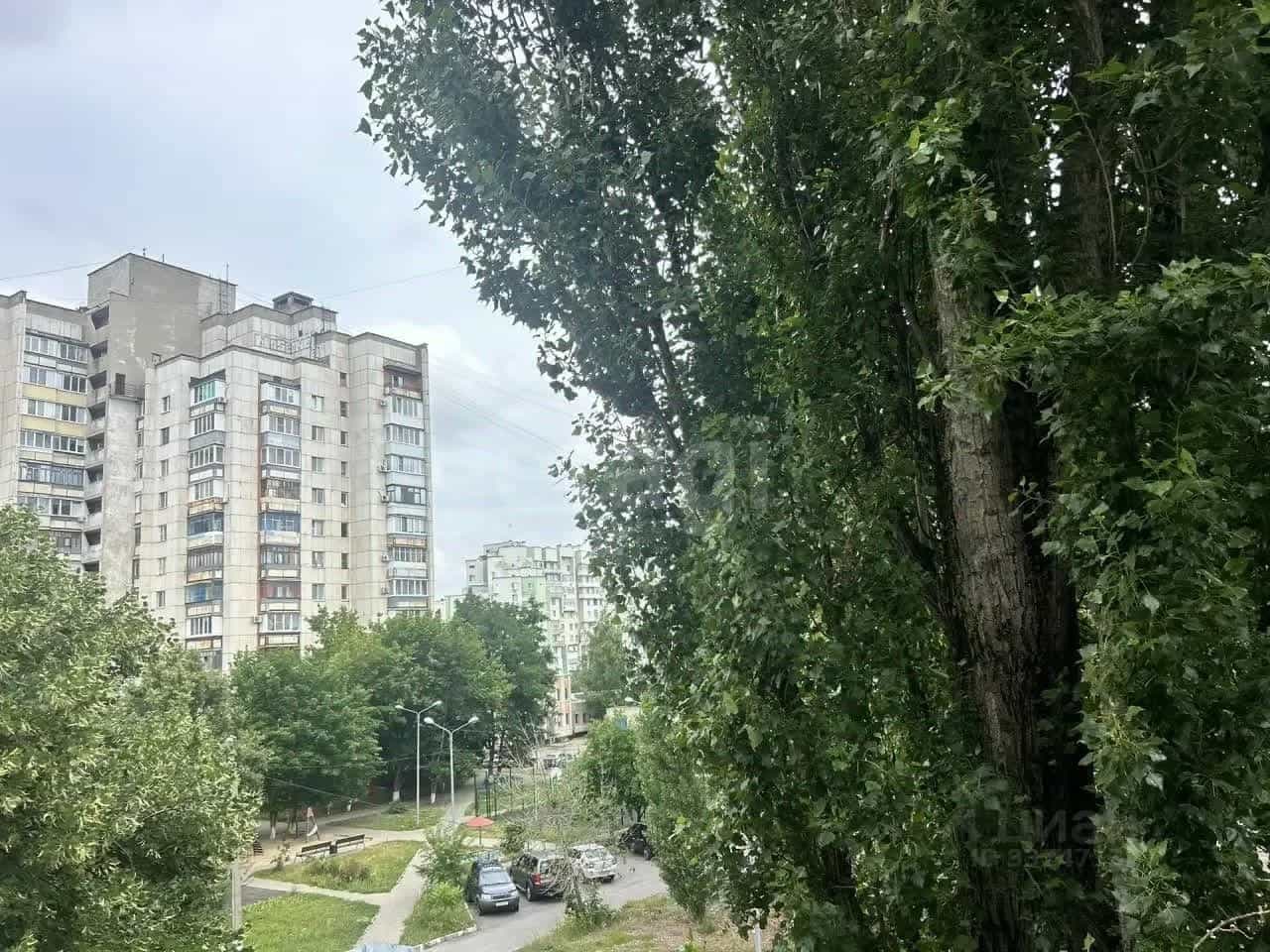 Россия, Белгород, улица Костюкова, 53, фото 21