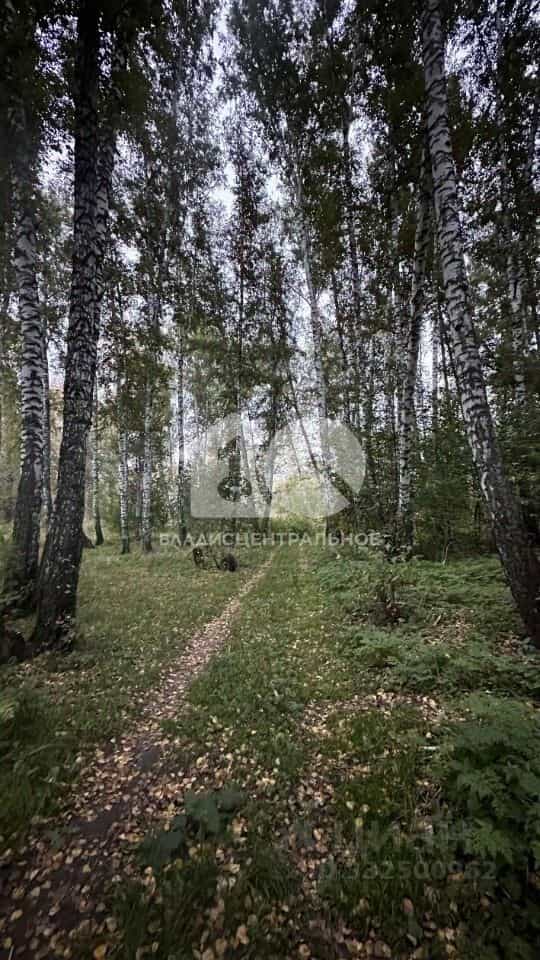 Россия, Новосибирск, улица Заслонова, 13/5, фото 41