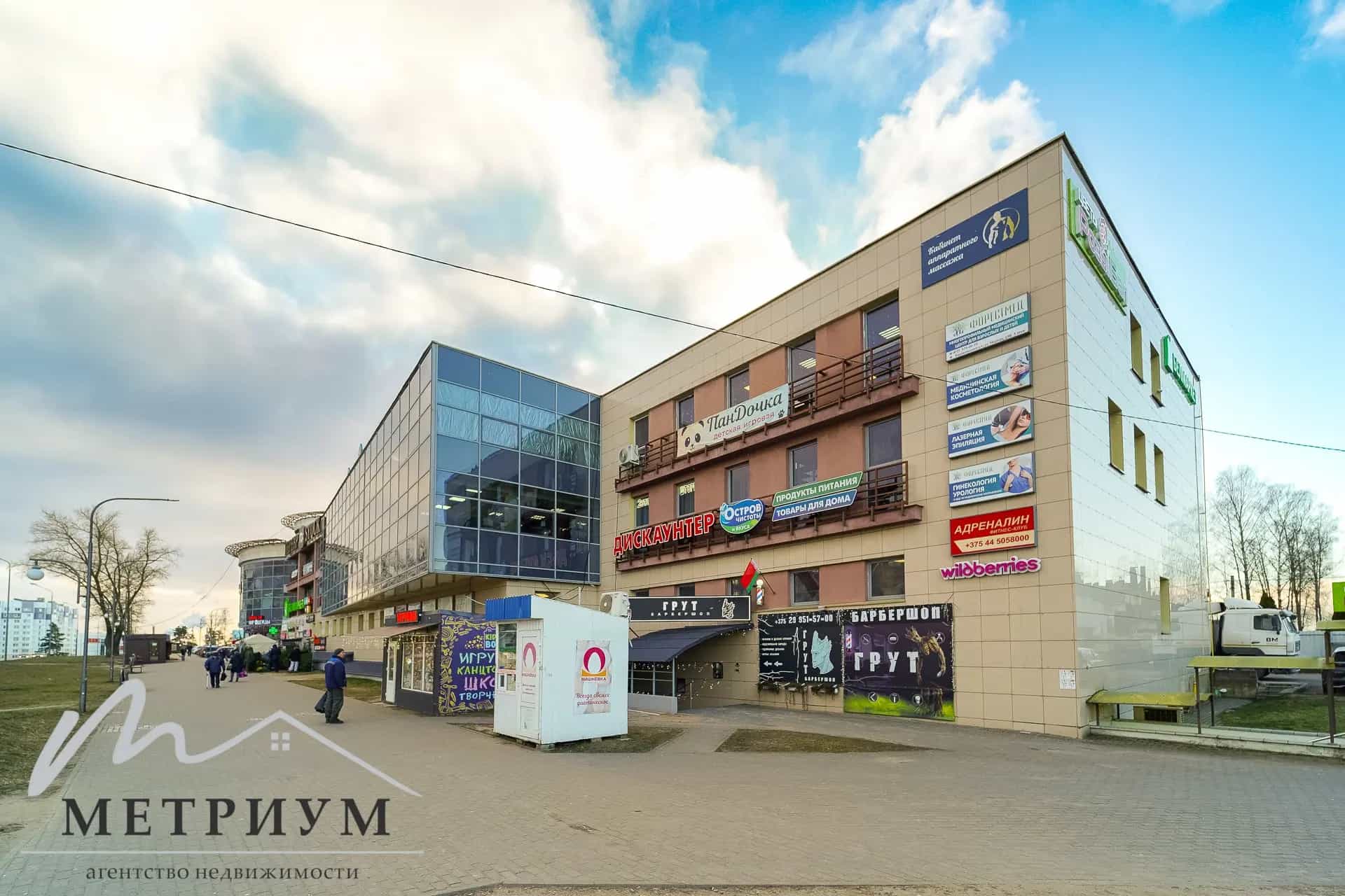 Беларусь, Минский район, деревня Боровляны, улица Берёзовая Роща, 108