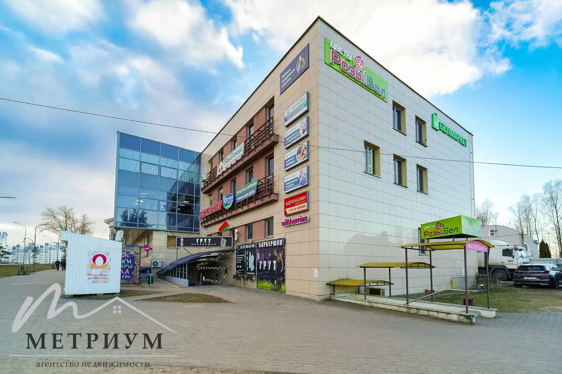 Беларусь, Минский район, деревня Боровляны, улица Берёзовая Роща, 108, фото 2