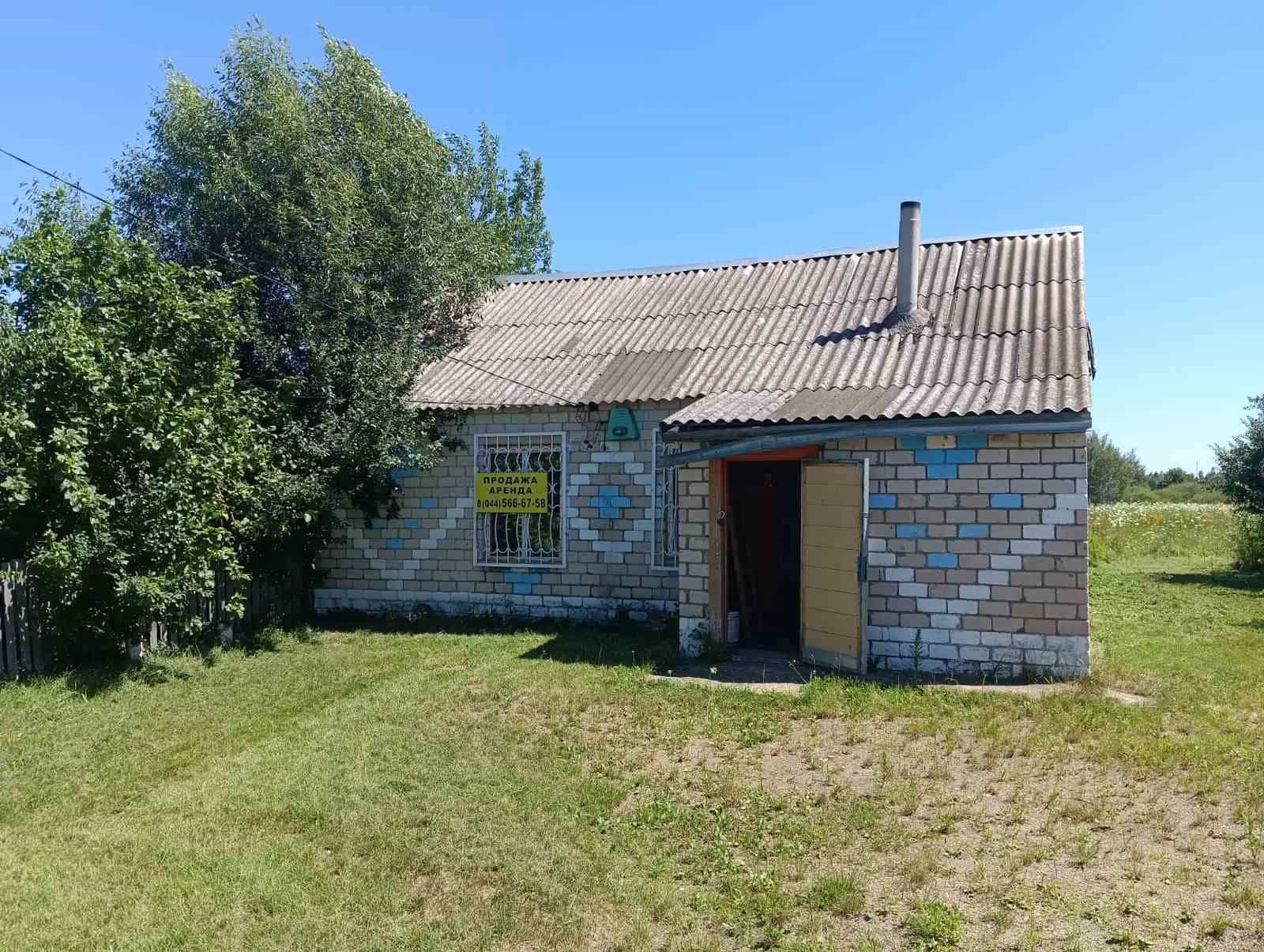 Беларусь, Минская область, Солигорский район, Краснодворский сельсовет, деревня Плянта, 46, фото 2