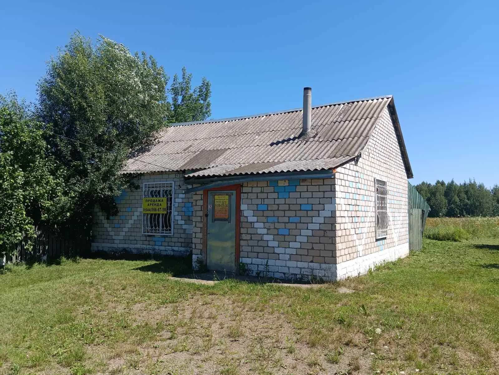 Беларусь, Минская область, Солигорский район, Краснодворский сельсовет, деревня Плянта, 46, фото 3