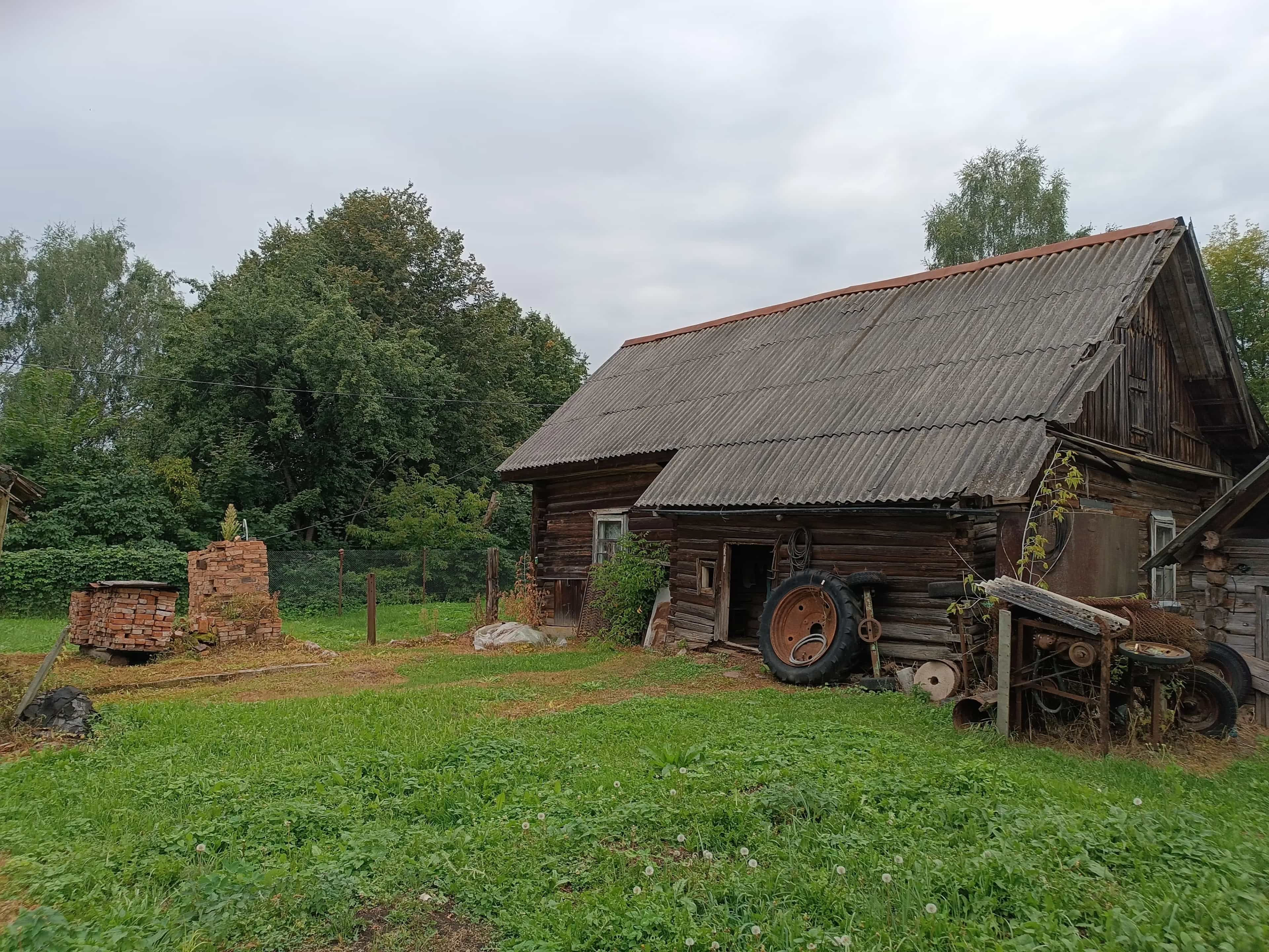 Беларусь, Витебская область, Полоцкий район, Боровухский сельсовет, деревня Подвинье, 2, фото 2