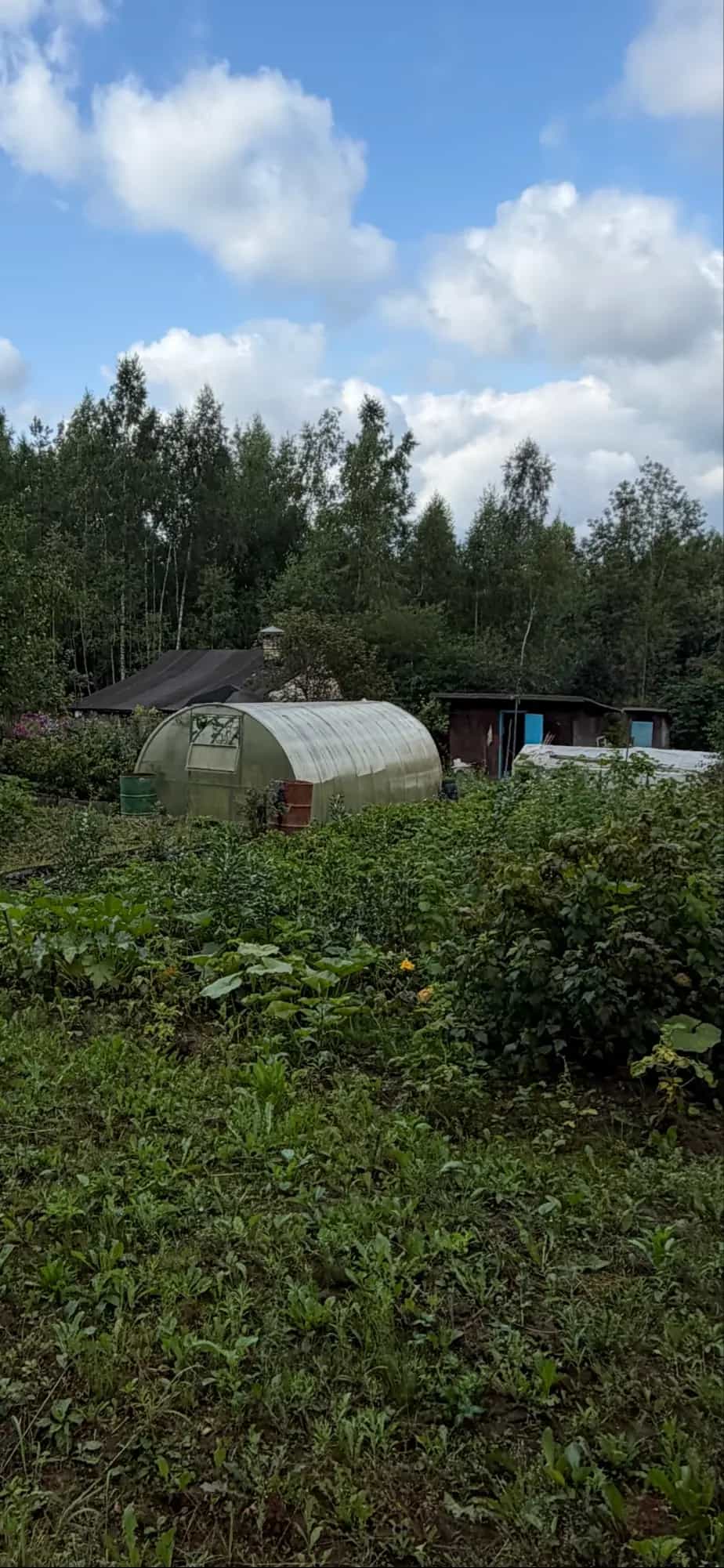 Беларусь, Минская область, Логойский район, Острошицкий сельсовет, садовое товарищество Надежда, 96, фото 7