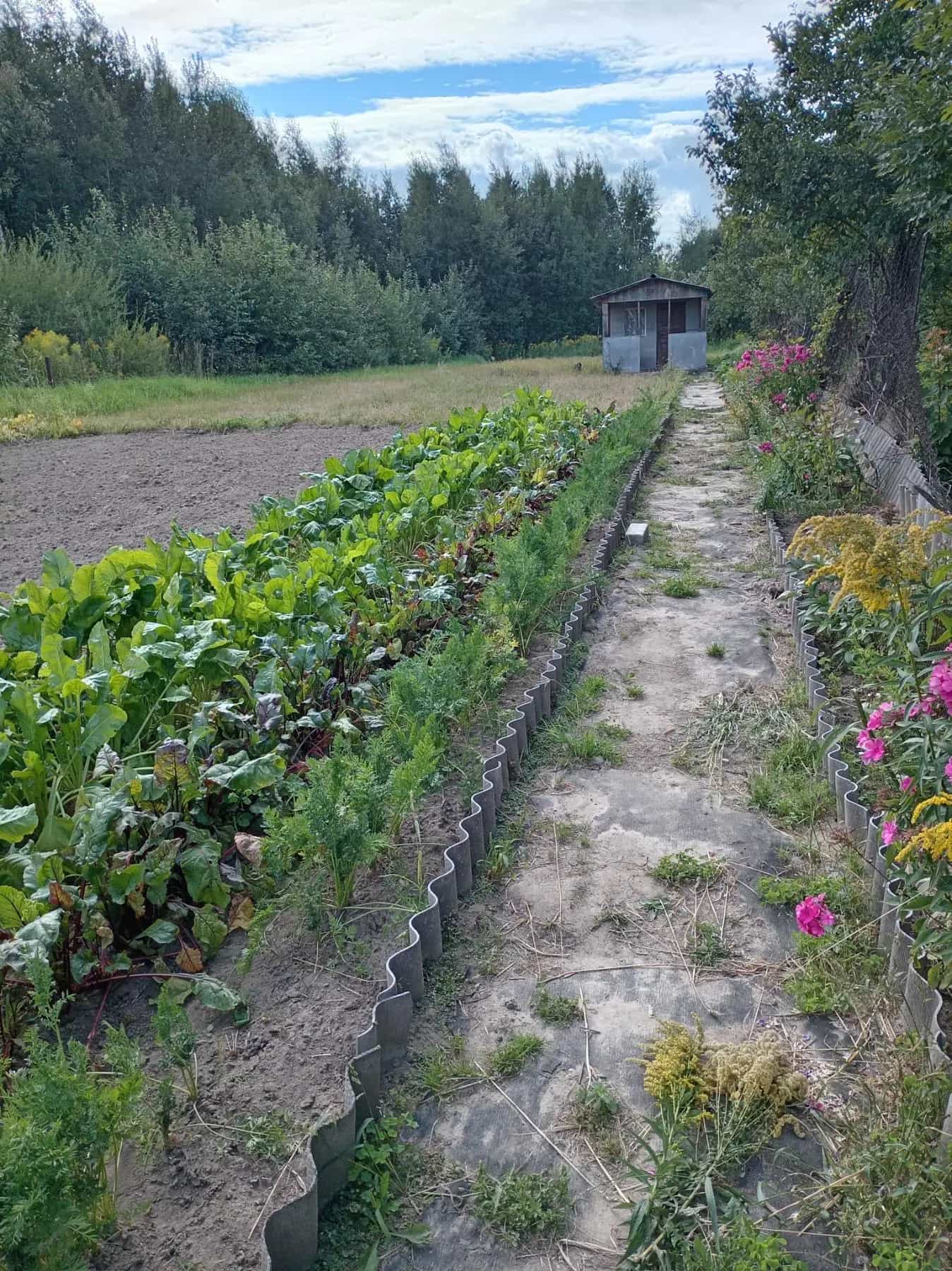 Беларусь, Витебская область, Орша, Липковская улица, 26, фото 4
