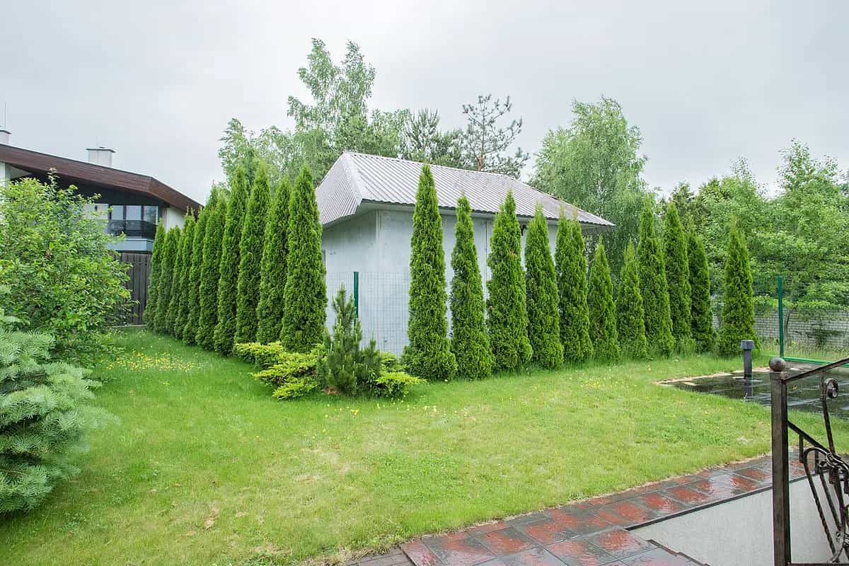 Беларусь, Минский район, агрогородок Ждановичи, Чистая улица, 18, фото 35